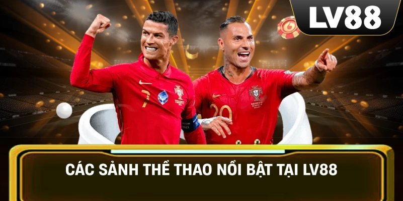 Các sảnh thể thao nổi bật tại LV88