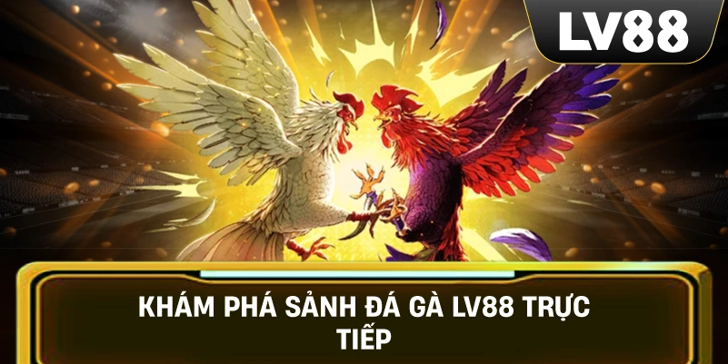 Khám phá sảnh Đá Gà LV88 trực tiếp