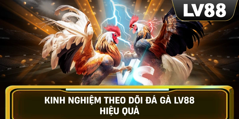 Kinh nghiệm theo dõi Đá Gà LV88 hiệu quả