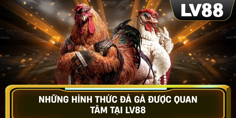 Những hình thức đá gà được quan tâm tại LV88